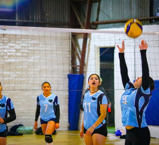 Academia de Voleibol Los Pumas