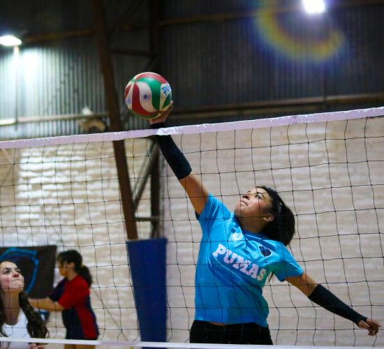 Academia de Voleibol Los Pumas