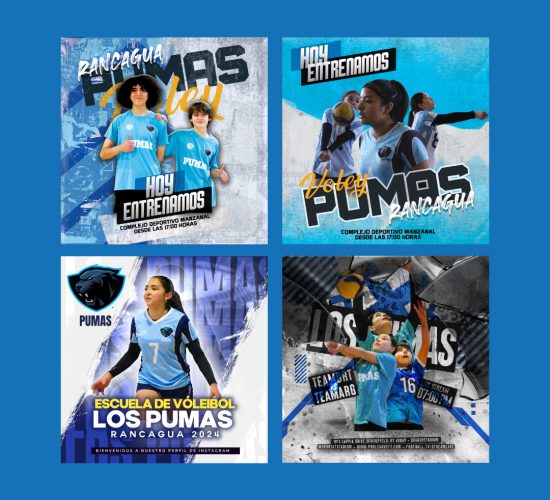 Academia de Voleibol Los Pumas